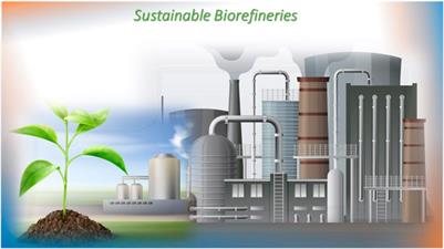 Embracing the sustainable horizons through bioenergy innovations: a path to a sustainable energy future